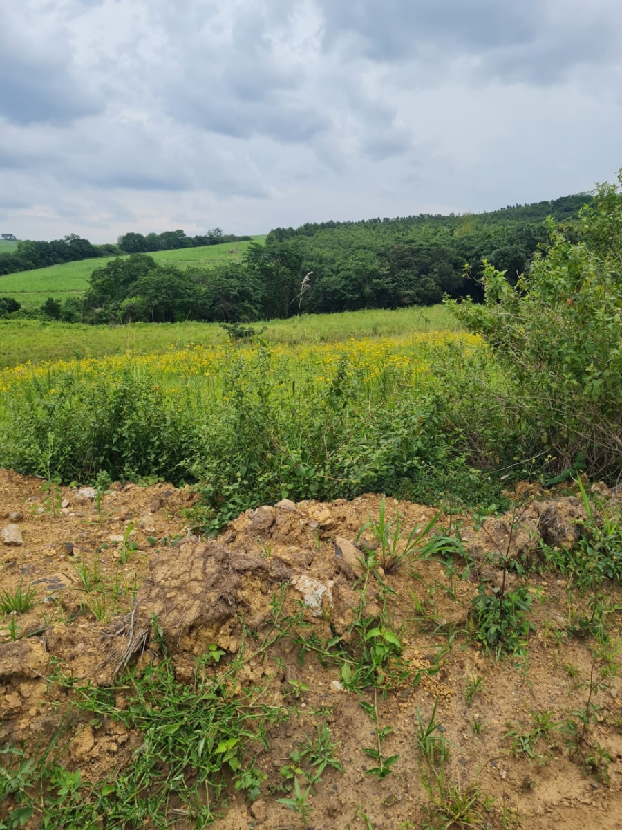 0 Bedroom Property for Sale in Ballito Central KwaZulu-Natal