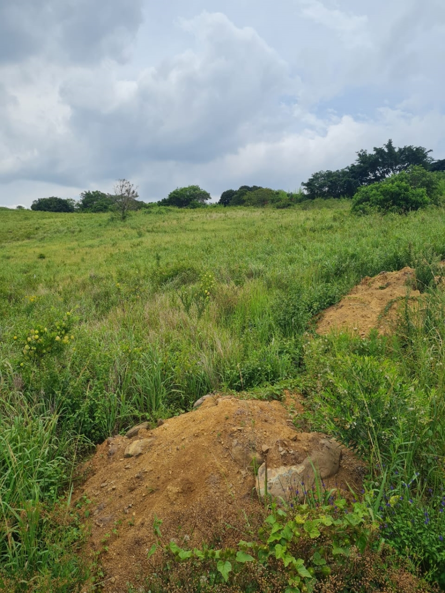 0 Bedroom Property for Sale in Ballito Central KwaZulu-Natal