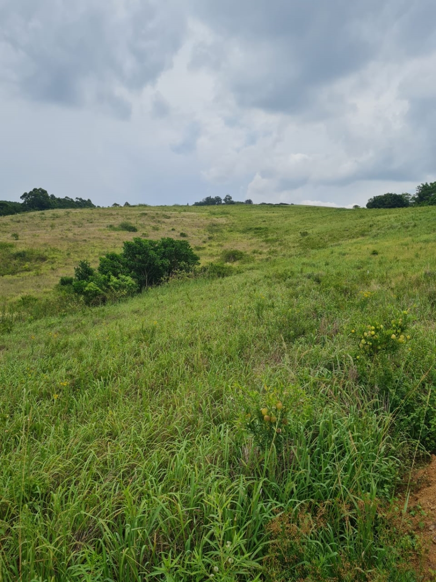 0 Bedroom Property for Sale in Ballito Central KwaZulu-Natal