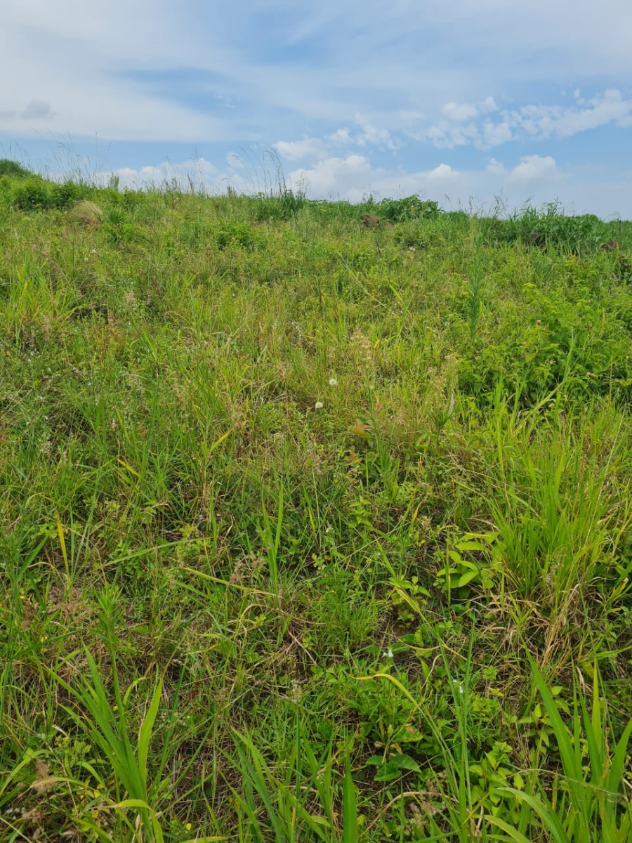 0 Bedroom Property for Sale in Ballito Central KwaZulu-Natal