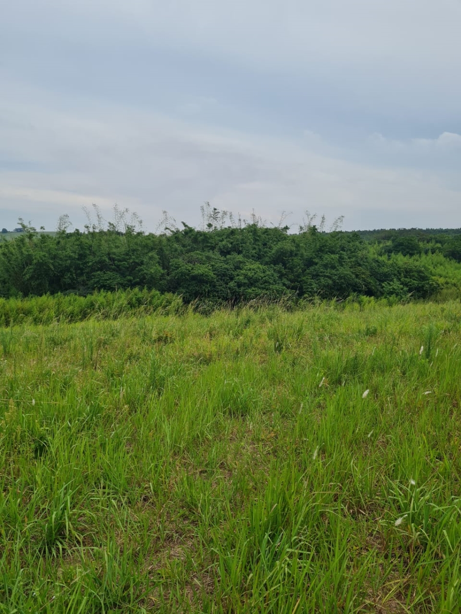 0 Bedroom Property for Sale in Ballito Central KwaZulu-Natal