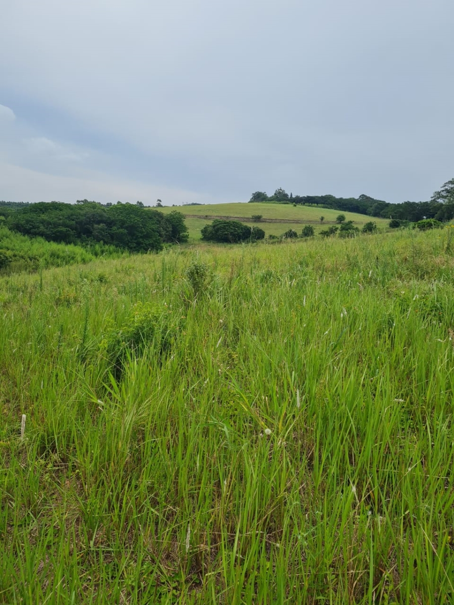 0 Bedroom Property for Sale in Ballito Central KwaZulu-Natal