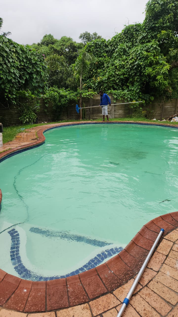To Let 3 Bedroom Property for Rent in Arboretum KwaZulu-Natal
