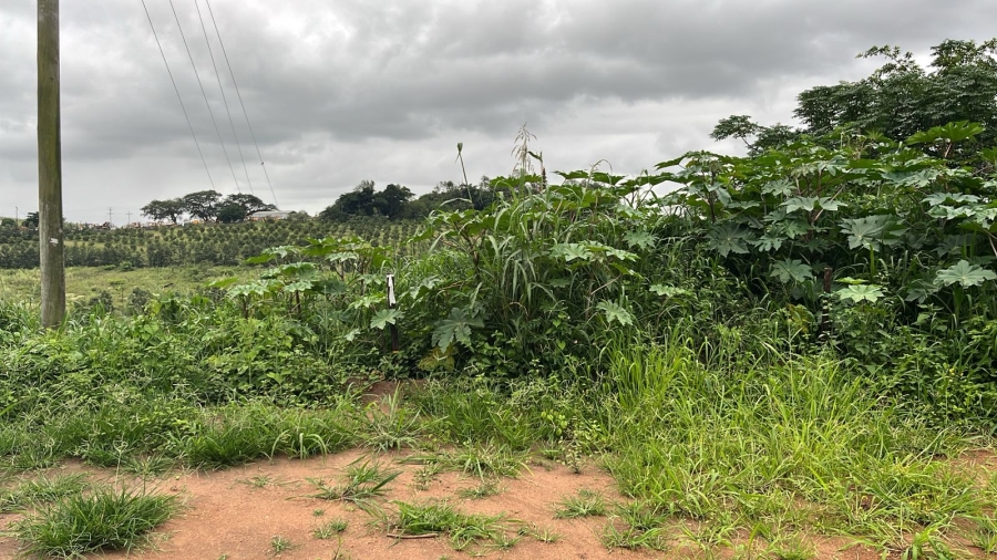 0 Bedroom Property for Sale in Ballito Central KwaZulu-Natal