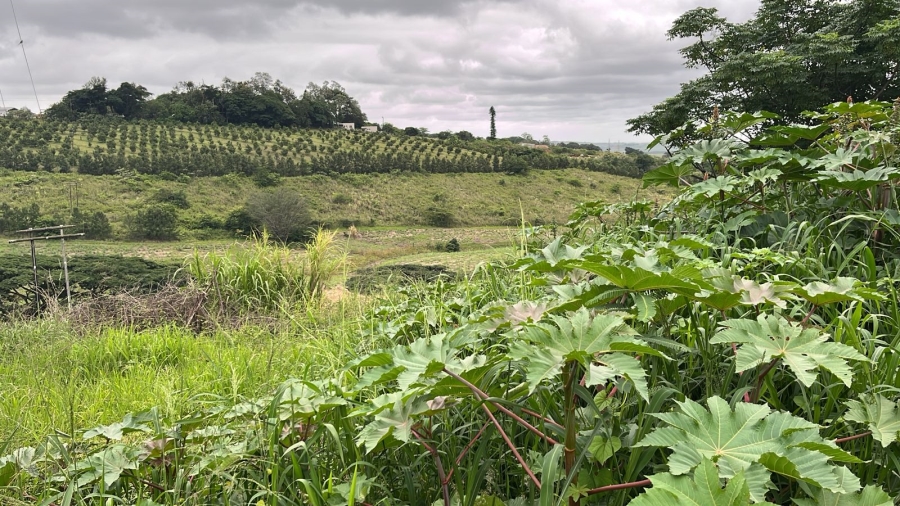 0 Bedroom Property for Sale in Ballito Central KwaZulu-Natal