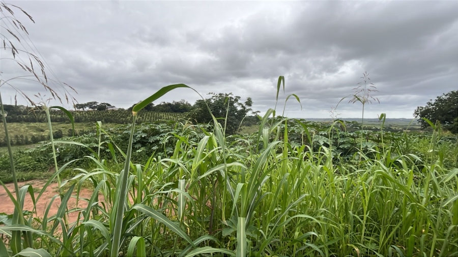 0 Bedroom Property for Sale in Ballito Central KwaZulu-Natal