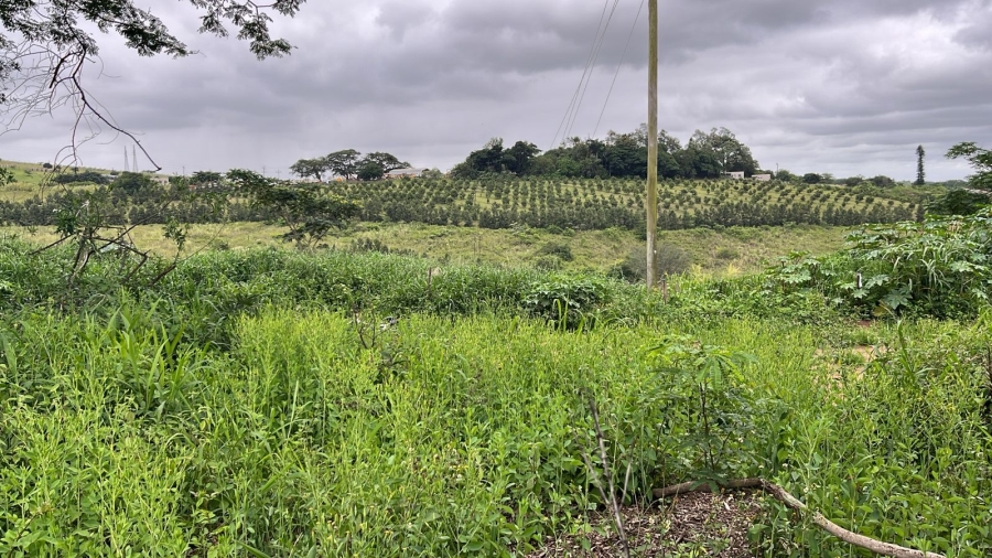 0 Bedroom Property for Sale in Ballito Central KwaZulu-Natal