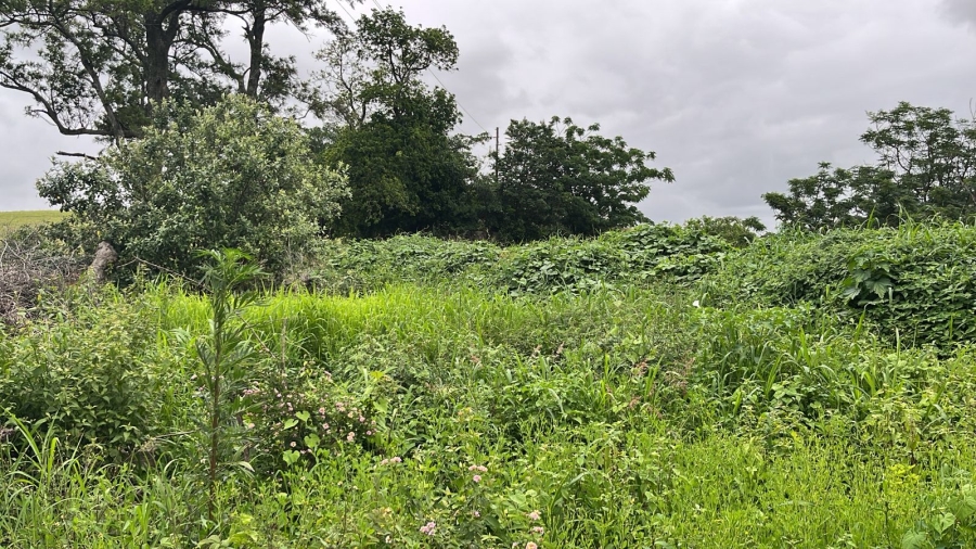 0 Bedroom Property for Sale in Ballito Central KwaZulu-Natal