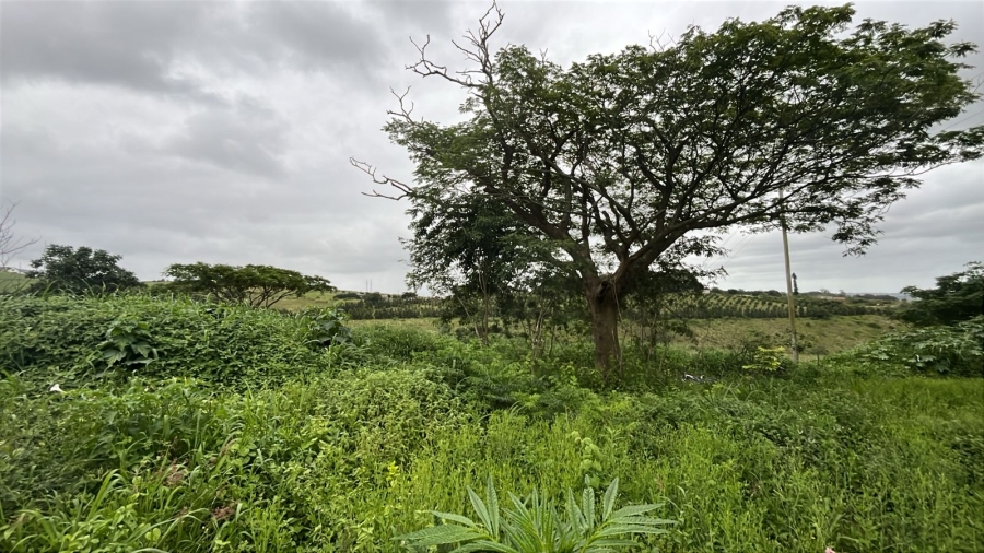 0 Bedroom Property for Sale in Ballito Central KwaZulu-Natal