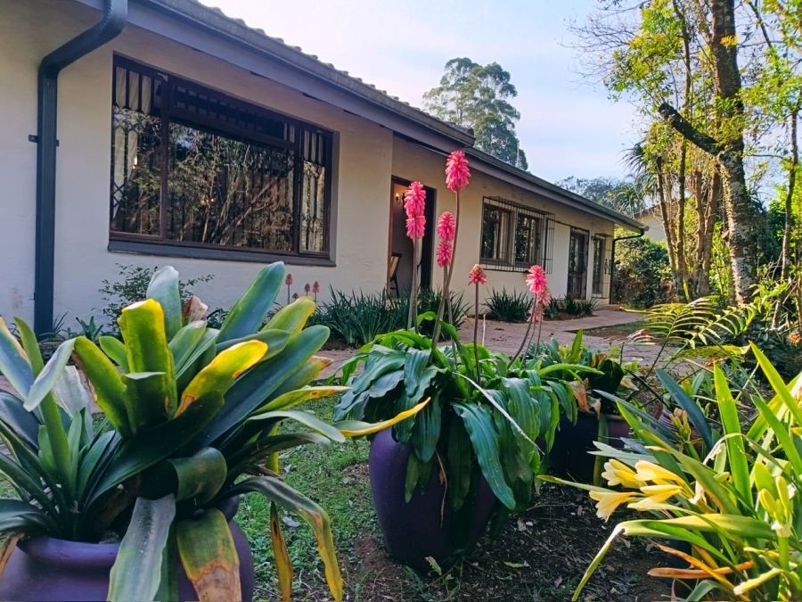 To Let 3 Bedroom Property for Rent in Hilton Central KwaZulu-Natal