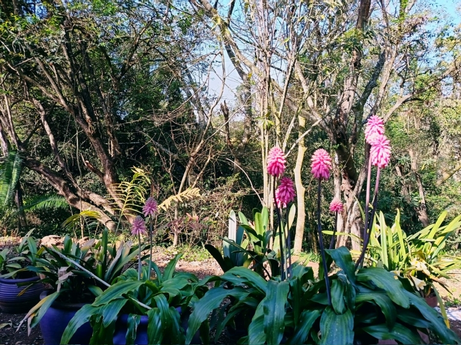 To Let 3 Bedroom Property for Rent in Hilton Central KwaZulu-Natal