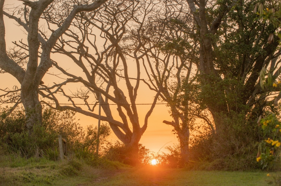 0 Bedroom Property for Sale in Lalela Estate KwaZulu-Natal