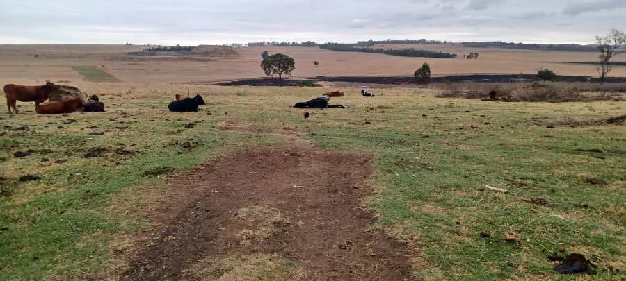 Commercial Property for Sale in Newcastle Rural KwaZulu-Natal