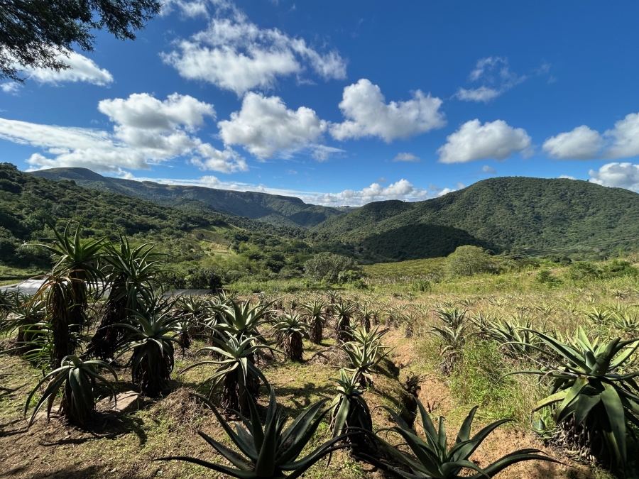 10 Bedroom Property for Sale in Mid-Illovo KwaZulu-Natal