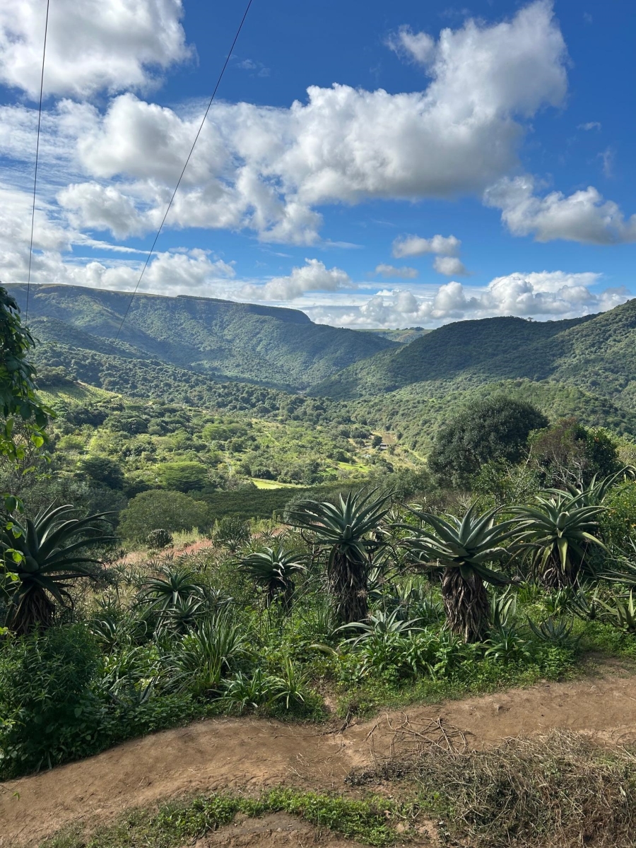 10 Bedroom Property for Sale in Mid-Illovo KwaZulu-Natal