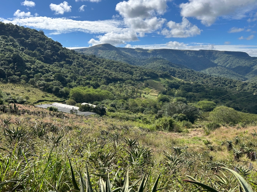 10 Bedroom Property for Sale in Mid-Illovo KwaZulu-Natal