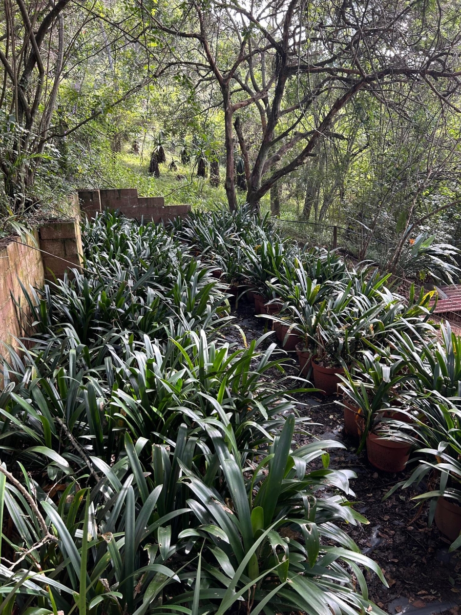 10 Bedroom Property for Sale in Mid-Illovo KwaZulu-Natal