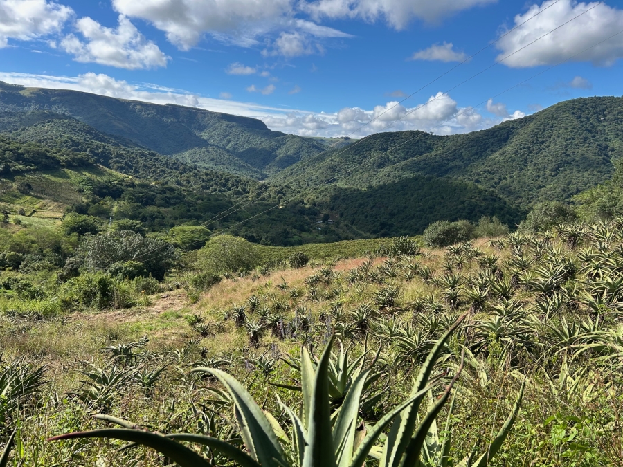 10 Bedroom Property for Sale in Mid-Illovo KwaZulu-Natal