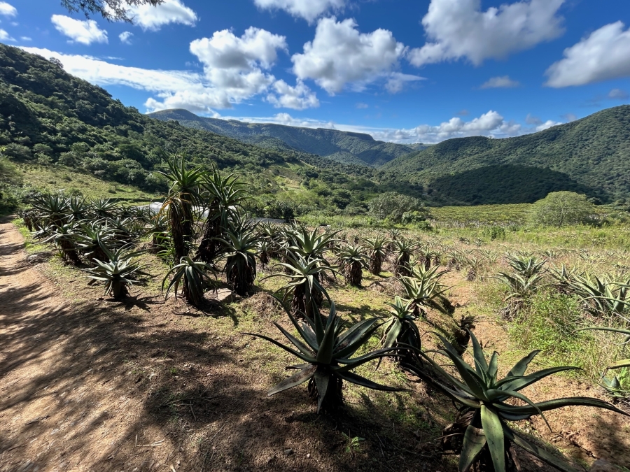 10 Bedroom Property for Sale in Mid-Illovo KwaZulu-Natal