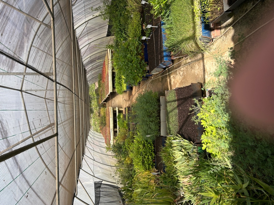 10 Bedroom Property for Sale in Mid-Illovo KwaZulu-Natal