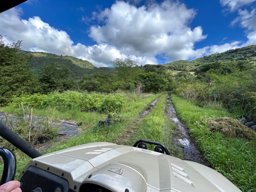 10 Bedroom Property for Sale in Mid-Illovo KwaZulu-Natal