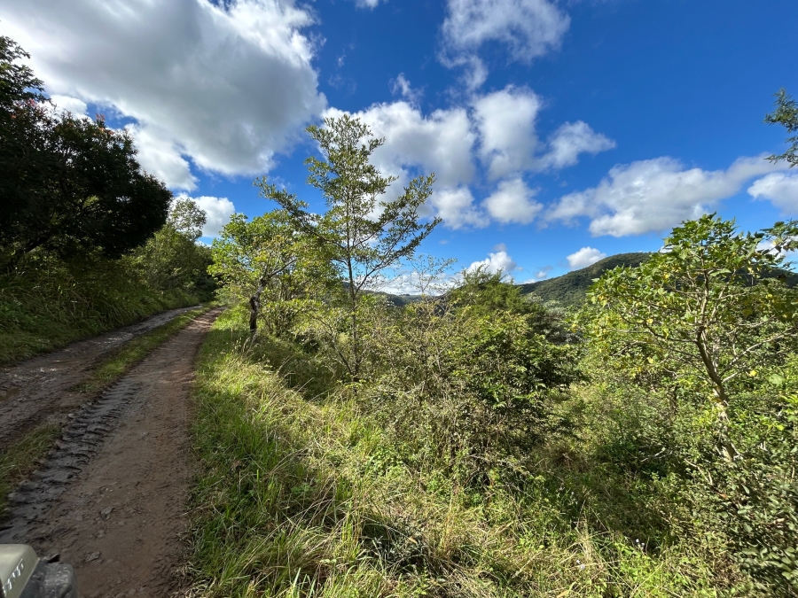 10 Bedroom Property for Sale in Mid-Illovo KwaZulu-Natal