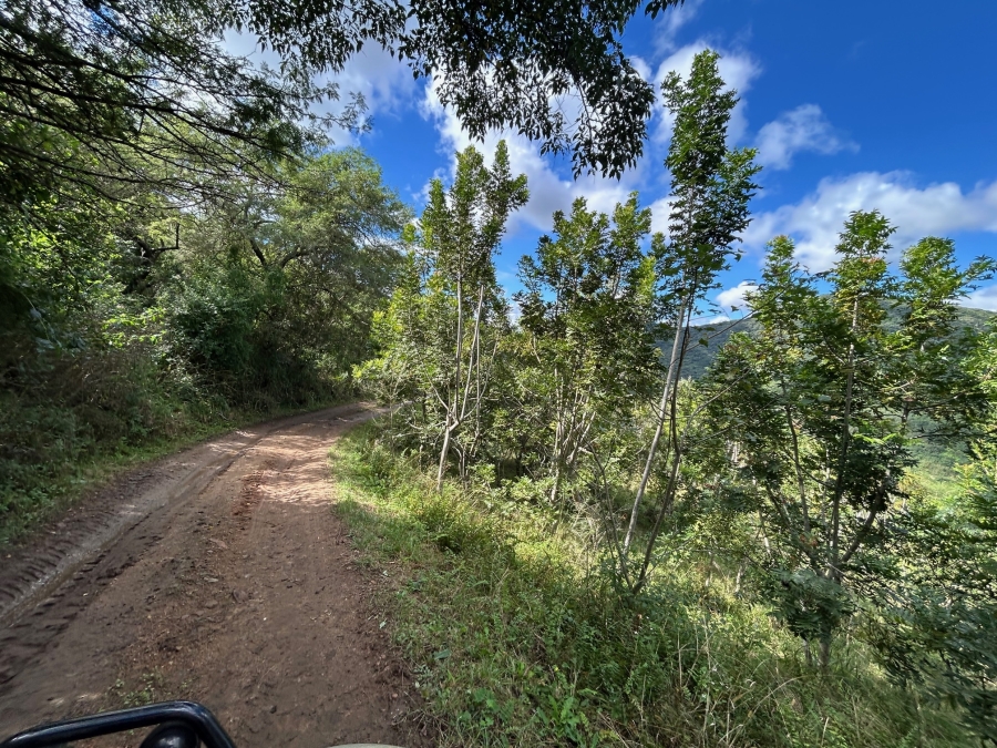 10 Bedroom Property for Sale in Mid-Illovo KwaZulu-Natal