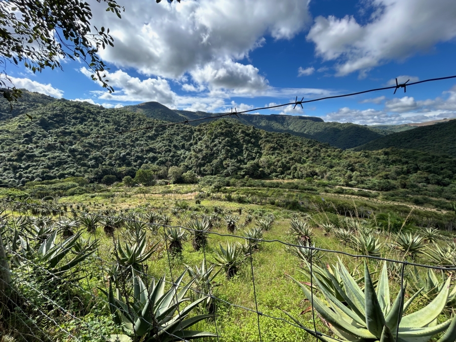 10 Bedroom Property for Sale in Mid-Illovo KwaZulu-Natal