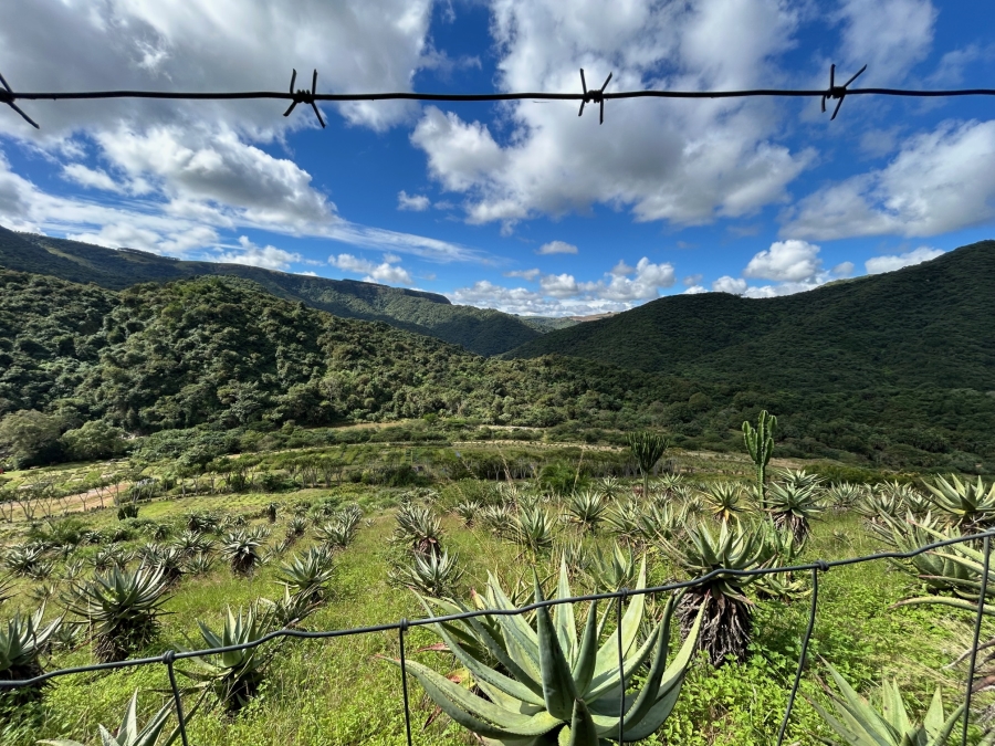 10 Bedroom Property for Sale in Mid-Illovo KwaZulu-Natal