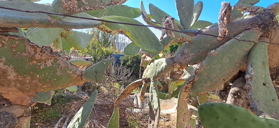 3 Bedroom Property for Sale in Utrecht KwaZulu-Natal