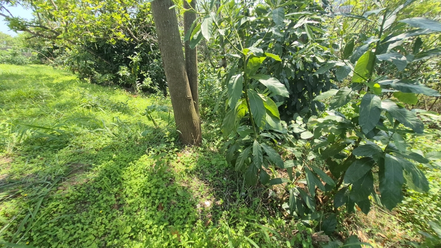 0 Bedroom Property for Sale in Westville Central KwaZulu-Natal