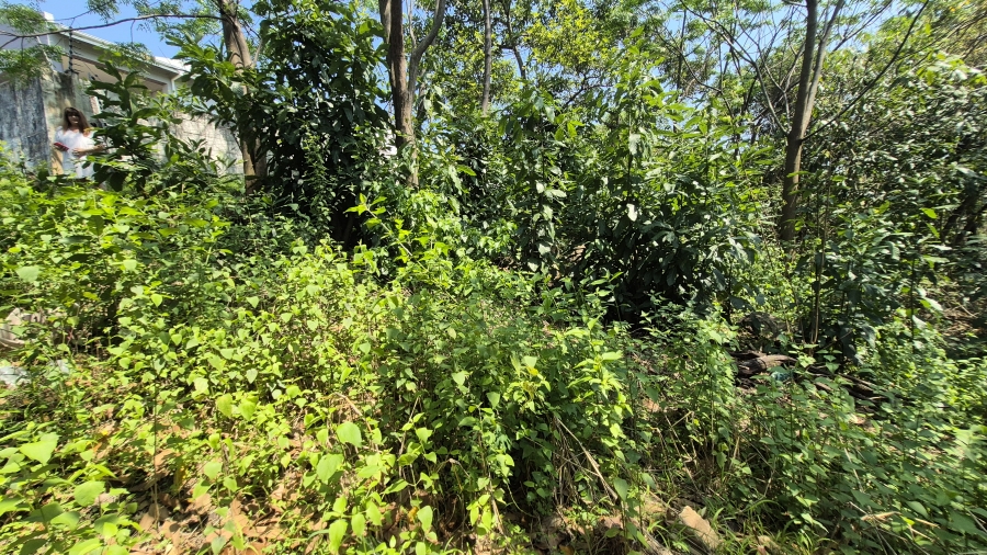 0 Bedroom Property for Sale in Westville Central KwaZulu-Natal