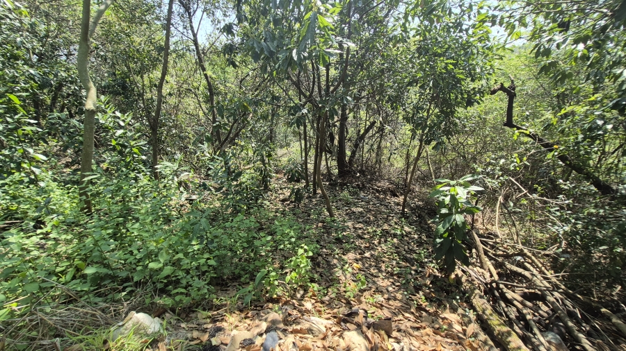 0 Bedroom Property for Sale in Westville Central KwaZulu-Natal