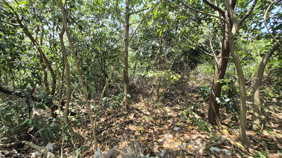 0 Bedroom Property for Sale in Westville Central KwaZulu-Natal