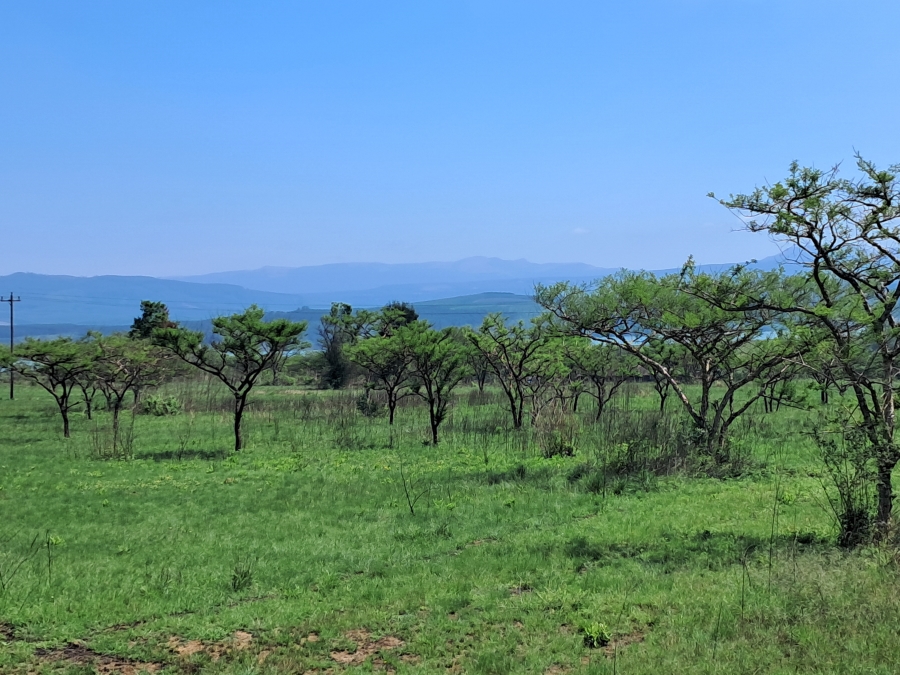 4 Bedroom Property for Sale in Albert Falls KwaZulu-Natal