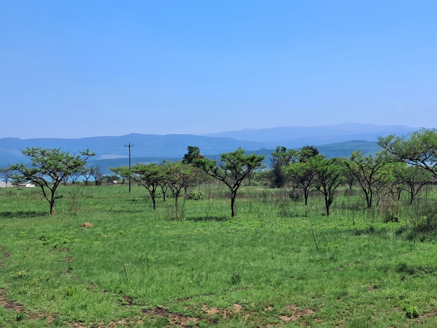 4 Bedroom Property for Sale in Albert Falls KwaZulu-Natal