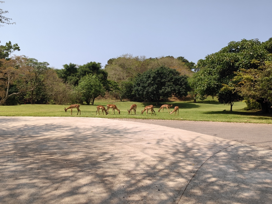 2 Bedroom Property for Sale in Pennington KwaZulu-Natal