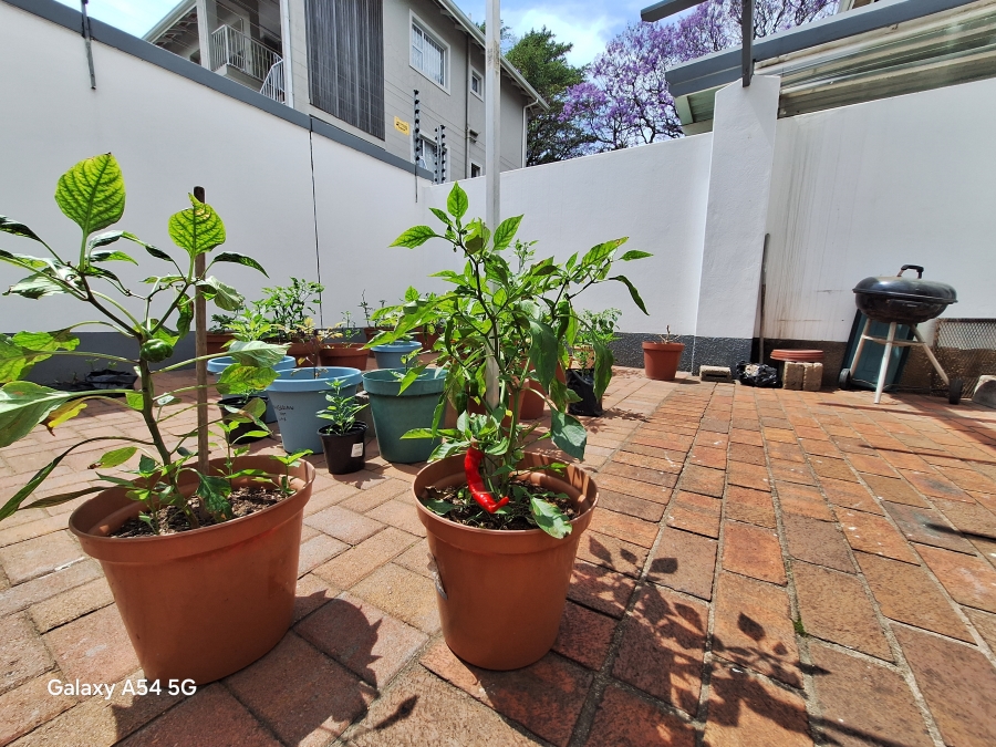 2 Bedroom Property for Sale in Glenwood KwaZulu-Natal