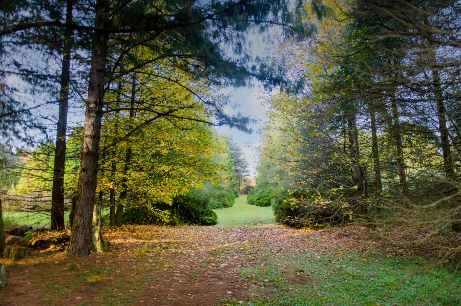 3 Bedroom Property for Sale in Nottingham Road KwaZulu-Natal