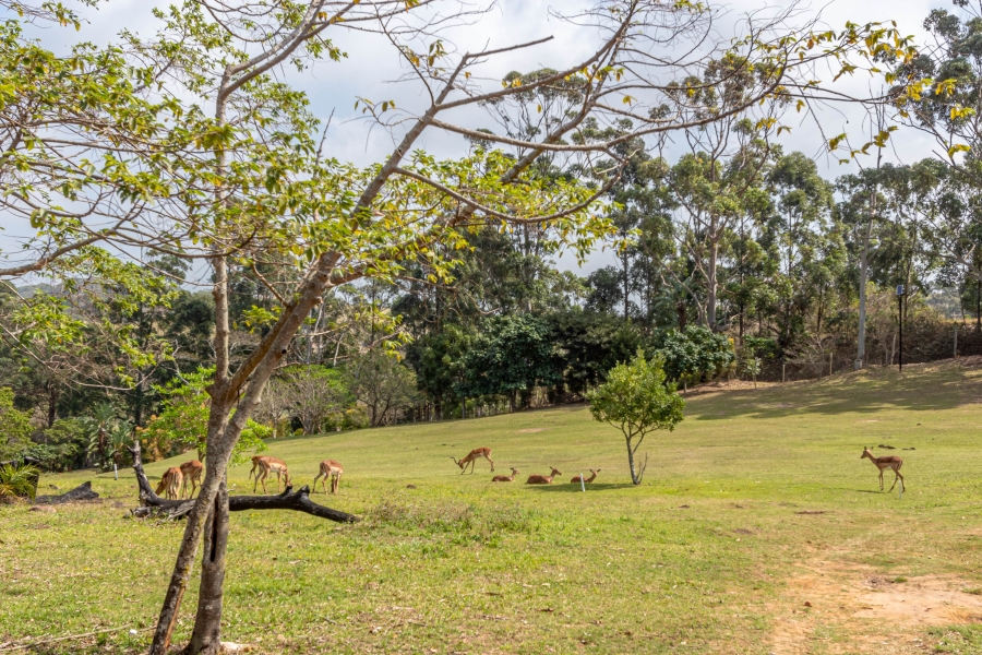 2 Bedroom Property for Sale in Pennington KwaZulu-Natal