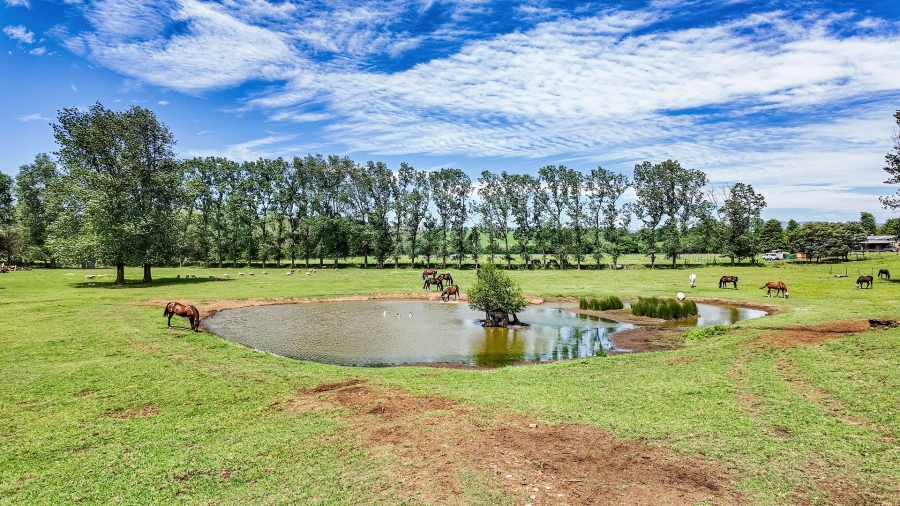 3 Bedroom Property for Sale in Dargle KwaZulu-Natal