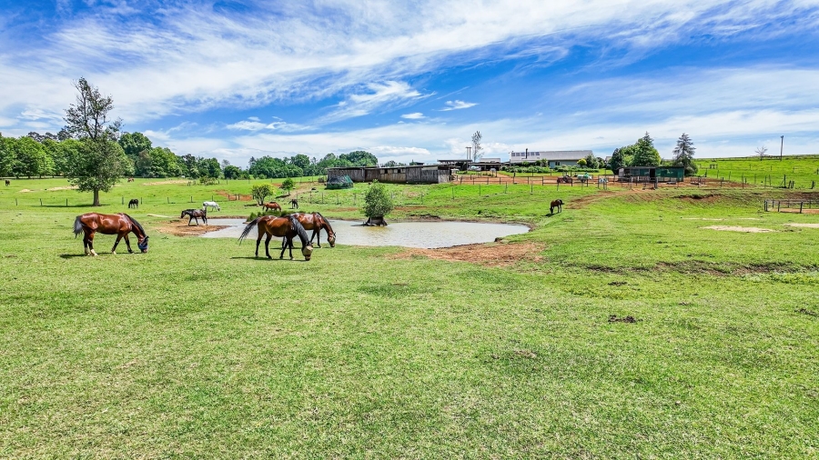 3 Bedroom Property for Sale in Dargle KwaZulu-Natal