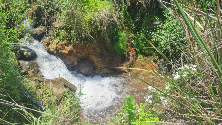 10 Bedroom Property for Sale in Byrne KwaZulu-Natal