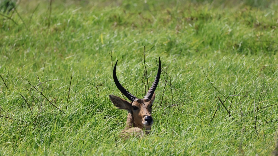 4 Bedroom Property for Sale in Intaba Ridge Secure Eco Estate KwaZulu-Natal