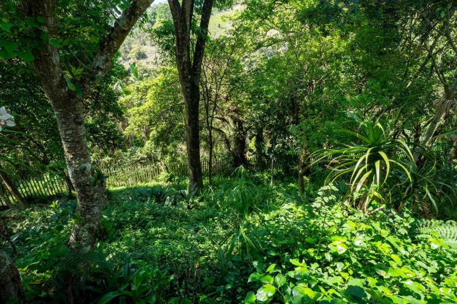 3 Bedroom Property for Sale in Gillitts KwaZulu-Natal