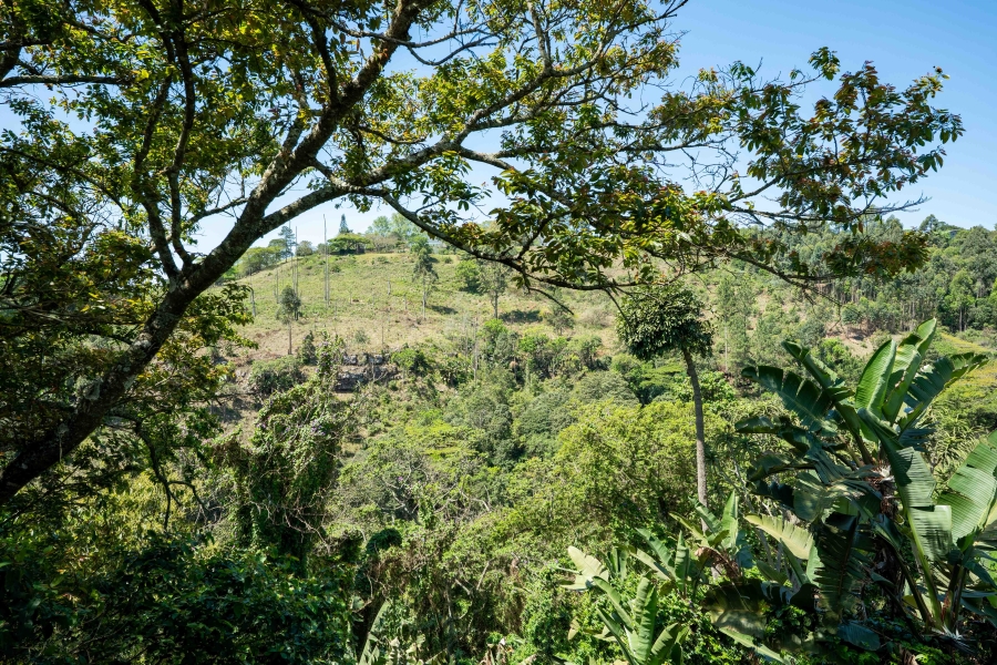 3 Bedroom Property for Sale in Gillitts KwaZulu-Natal