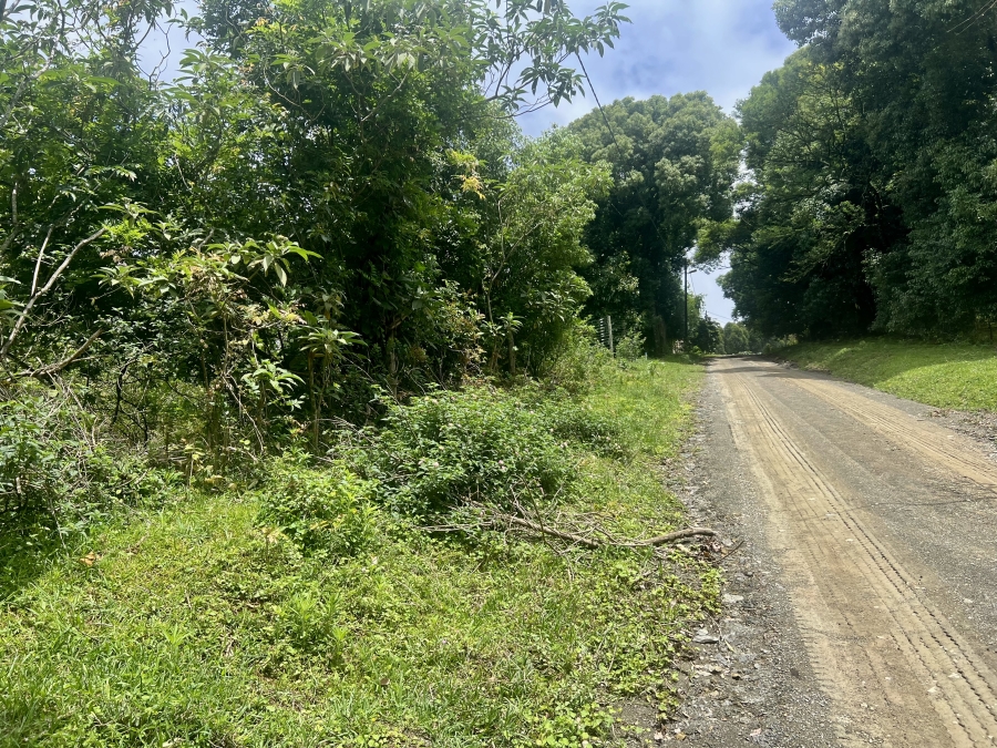 0 Bedroom Property for Sale in Winterskloof KwaZulu-Natal