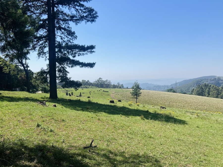 0 Bedroom Property for Sale in Winterskloof KwaZulu-Natal