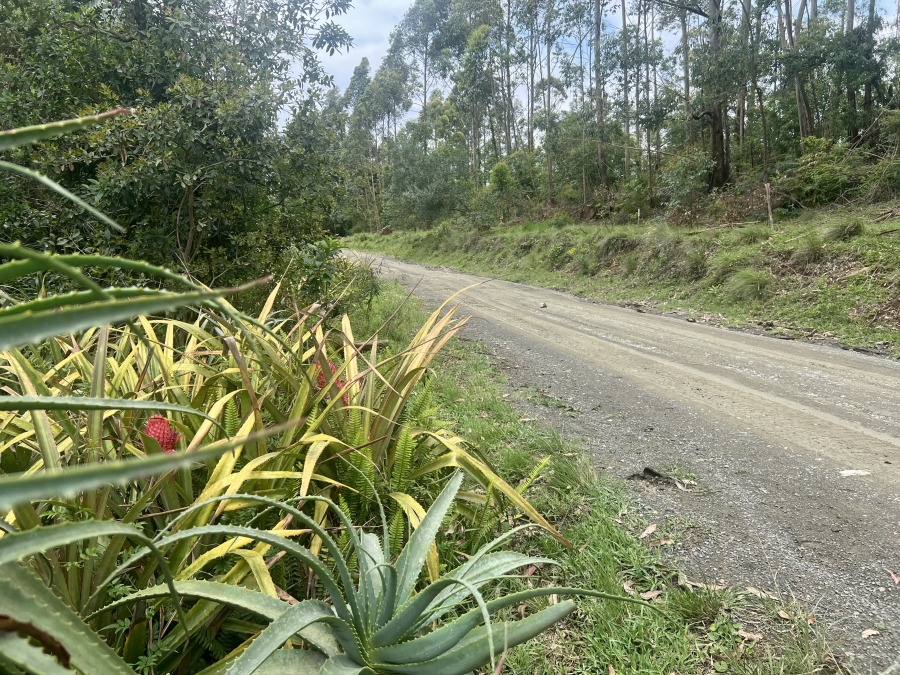 0 Bedroom Property for Sale in Winterskloof KwaZulu-Natal