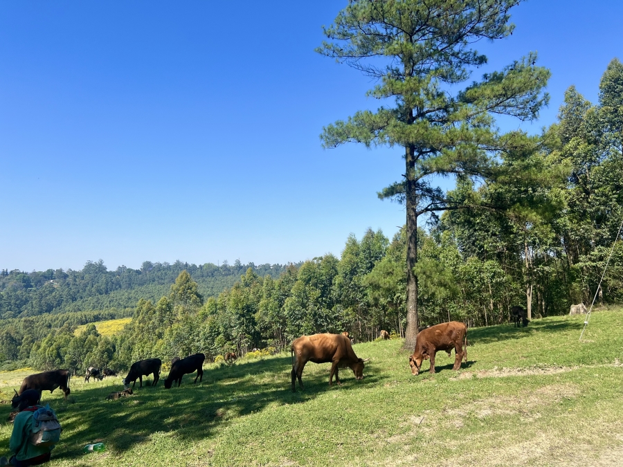 0 Bedroom Property for Sale in Winterskloof KwaZulu-Natal